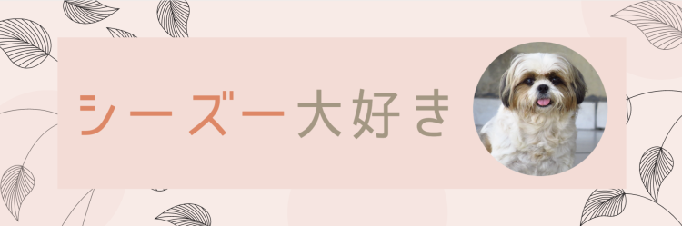 シーズー大好き